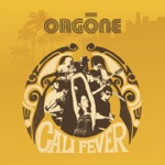 Orgone - The Only One