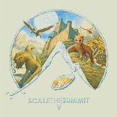 Scale the Summit - Stolas