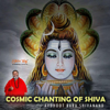 ShivYog Chants Cosmic Chanting of Shiva - Avdhoot Baba Shivanand