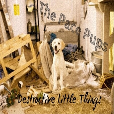 The Pace Pups - Ring Leader