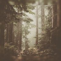 Unfigured - Single - Brian Powell