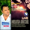 Sarba la acordeon