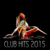 Club Hits 2015 - Various Artists