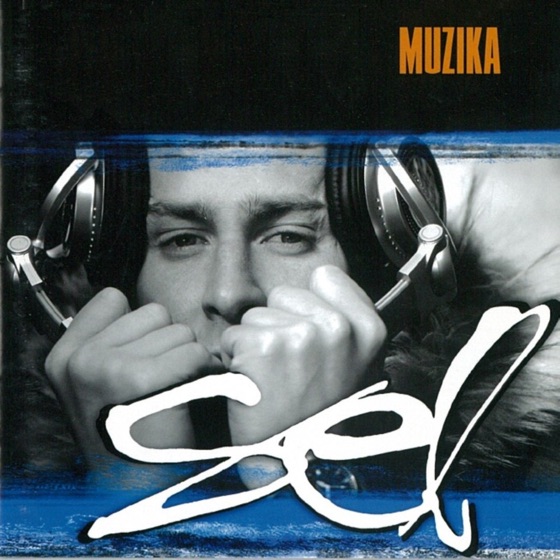Cover artwork for Bling