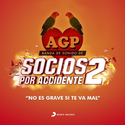 No Es Grave Si Te Va Mal (Tema de la Película "Socios por Accidente 2") -  Agapornis | Shazam