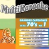 Multi Karaoke - Una Vieja Canción De Amor