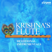 Krishna Nee Begane Baro (Instrumental) song art