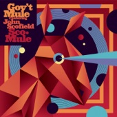 Gov't Mule - Sco-Mule (feat. John Scofield)