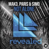 Not Alone artwork