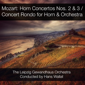 Concerto No. 3 for Horn & Orchestra in E-Flat Major, K.447: III. Allegro