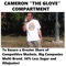 An Efficient Driving Song for Terry Pedestrian - Cameron the Glove Compartment lyrics