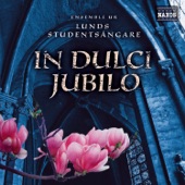 In dulci jubilo (Ensemble ur Lunds Studentsångare) artwork