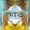 WildFlower (Special) - MitiS lyrics