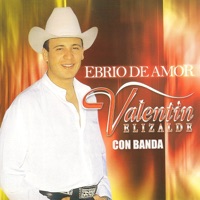 Ebrio de Amor - Valentín Elizalde
