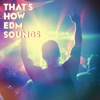 That's How EDM Sounds