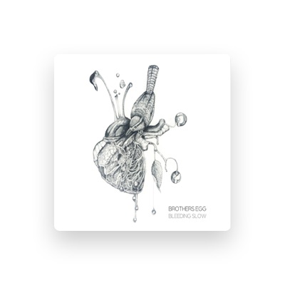 Listen to Brothers Egg, watch music videos, read bio, see tour dates & more!