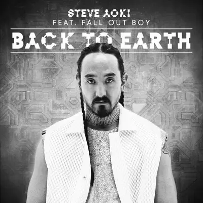 Back to Earth (feat. Fall Out Boy) [Remixes] - Single - Steve Aoki