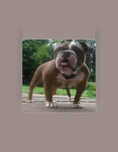 Listen to Shawn O, watch music videos, read bio, see tour dates & more!