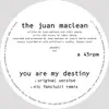 The Juan MacLean - You Are My Destiny (Nic Fanciulli Remix)