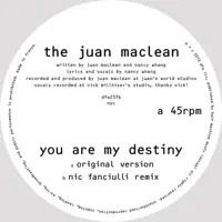 You Are My Destiny (Nic Fanciulli Remix) — The Juan MacLean