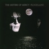 The Sisters of Mercy