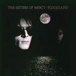 The Sisters of Mercy - Lucretia My Reflection