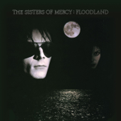 Flood II (Vinyl Version) - The Sisters of Mercy Cover Art