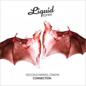 Connection - Single