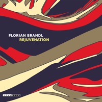 Florian Brandl - Quaderno