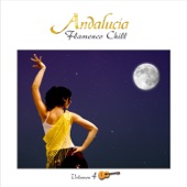 Andalucía Flamenco Chill, Vol. 4 artwork