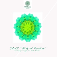 Blink of Paradise - Single - Donz