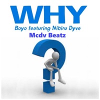 Why (feat. Nibiru Dyve, Boyo & Mcdv Beatz) - Single - Tune Dealer
