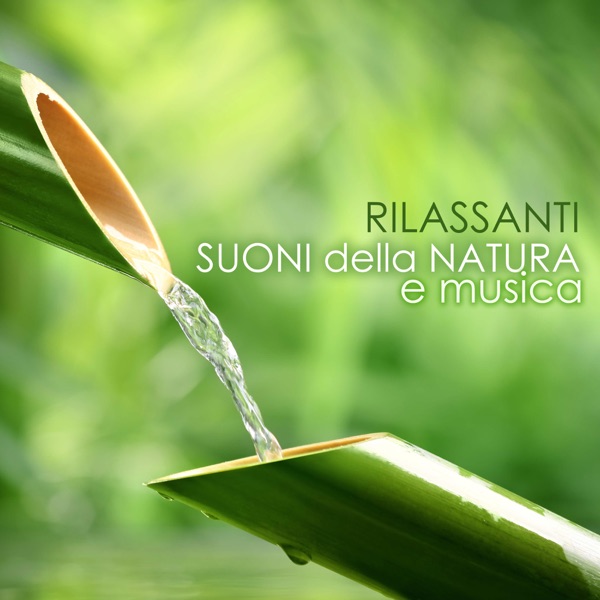 Rilassanti Souni della Natura e Musica Rilassante per Me - Armonia e Serenità