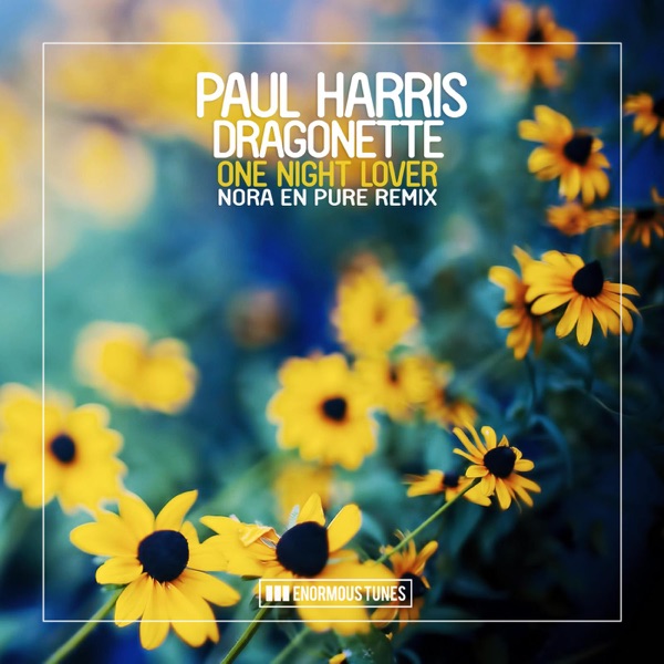 One Night Lover (Nora en Pure Remixes) [feat. Dragonette] - Single
