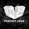 Jesus Loves Electro - Perfect Love
