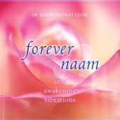 Forever Naam artwork