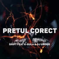 Pretul Corect (feat. K-Gula & DJ Undoo) - Single - SHIFT