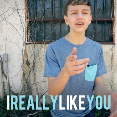 I Really Like You - Single