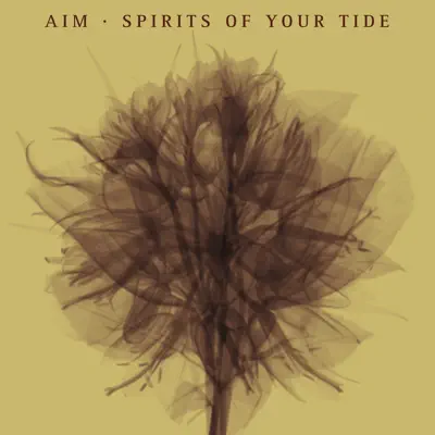 Spirits of Your Tide - AiM