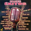 Grandes Éxitos a Nuestro Estilo, Vol. 7