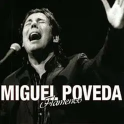 Flamenco - Miguel Poveda