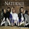 Animal (feat. Bachata Heightz) artwork