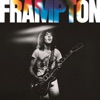 Peter Frampton - Show Me the Way