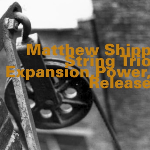 Expansion, Power, Release (feat. Matthew Shipp, Mat Maneri & William Parker)
