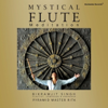 Mystical Flute Meditation - Bikramjit Singh