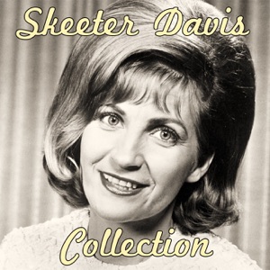 Skeeter Davis - We'll Sing in the Sunshine - 排舞 音乐