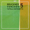 Bruckner: Symphony No. 5