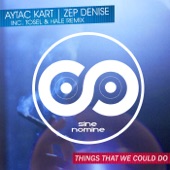 Things That We Could Do (Tosel & Hale Remix) [feat. Zep Denise & Tosel & Hale] artwork