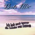 Ich Hab Noch Immer Die Schuhe Von Hawai