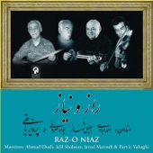 Raz-O Niaz artwork